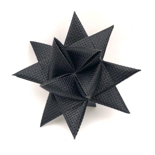 Sort net julestjerne