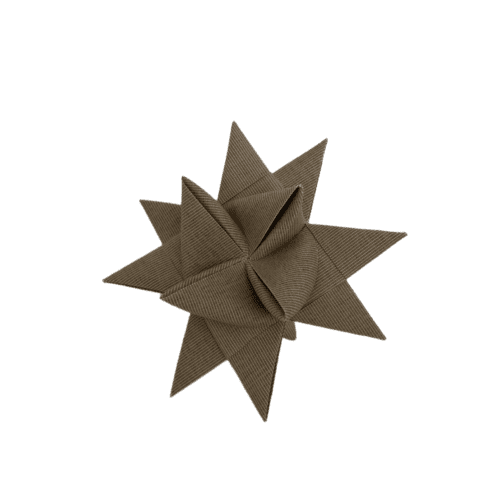 Sejldug julestjerne - Toast