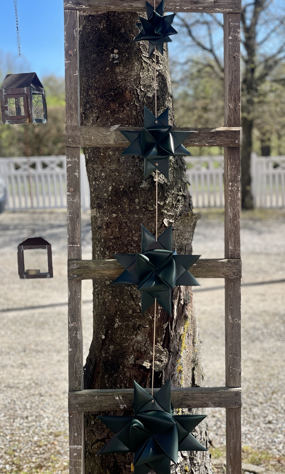 Snor – Bild 7