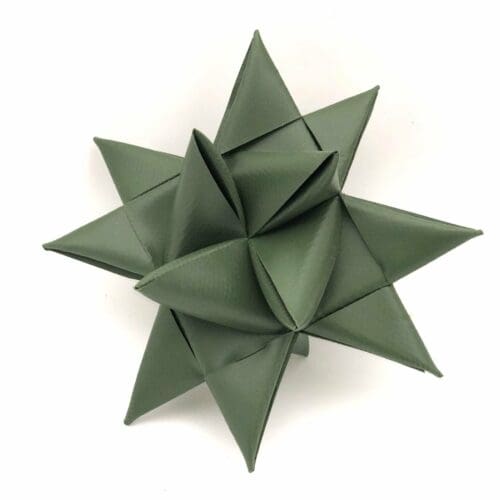 Lys grøn julestjerne