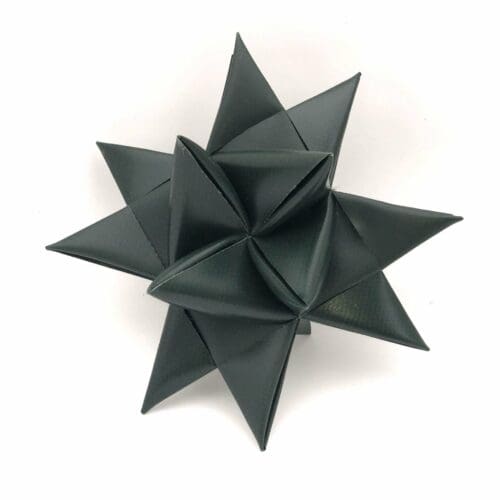Mørk grøn julestjerne